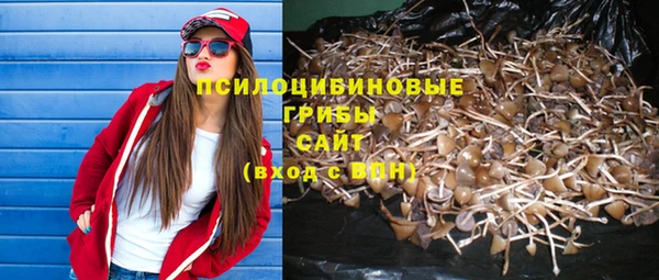 каннабис Гусиноозёрск