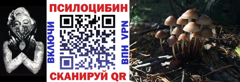 Галлюциногенные грибы MAGIC MUSHROOMS  как найти наркотики  Ессентукская 