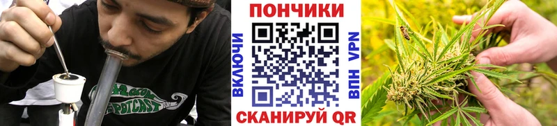 Каннабис семена Ессентукская